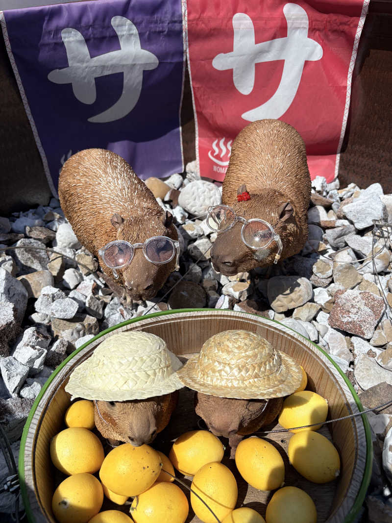 吉Ｇ　⛰️🏌️‍♀️さんの富士山天然水SPA サウナ鷹の湯のサ活写真