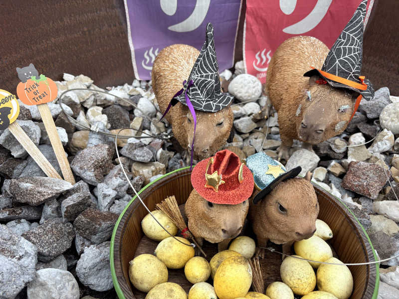 吉Ｇ　⛰️🏌️‍♀️さんの富士山天然水SPA サウナ鷹の湯のサ活写真