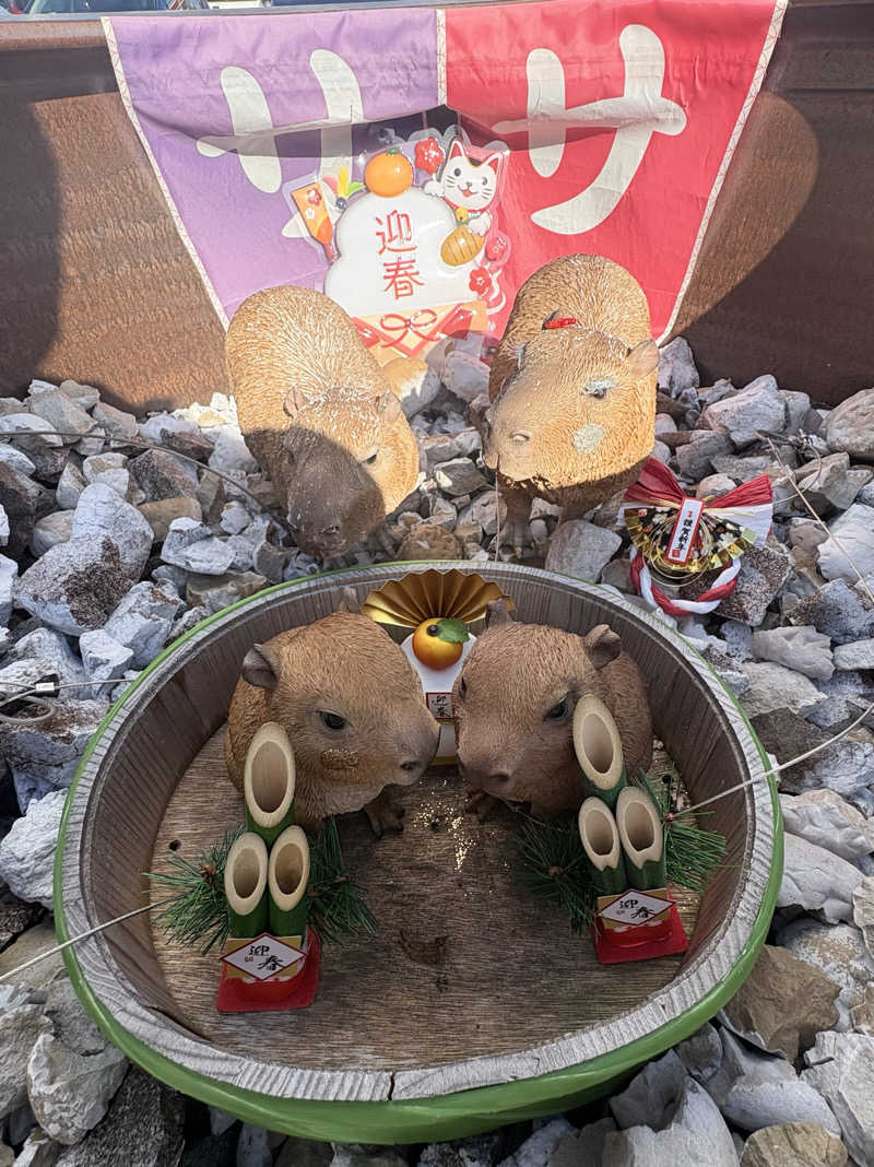 吉Ｇ　⛰️🏌️‍♀️さんの富士山天然水SPA サウナ鷹の湯のサ活写真