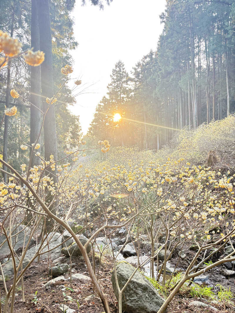 吉Ｇ　⛰️🏌️‍♀️さんの富士山天然水SPA サウナ鷹の湯のサ活写真