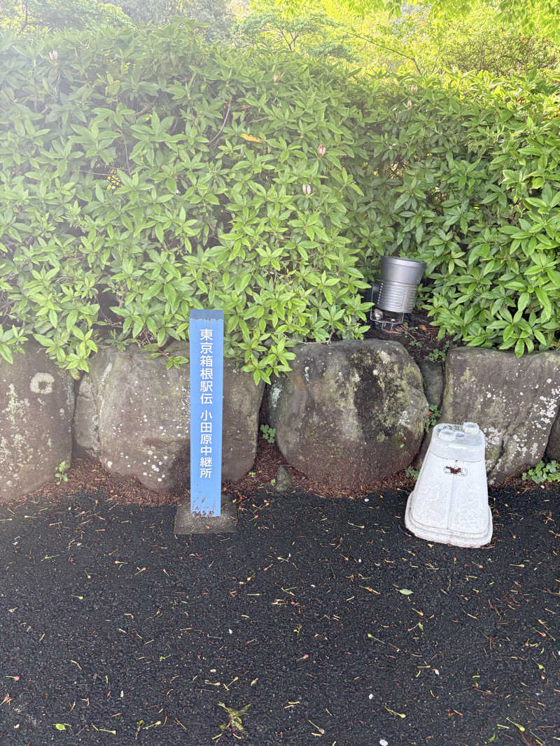 吉Ｇ　⛰️🏌️‍♀️さんの天然温泉 小田原コロナの湯のサ活写真