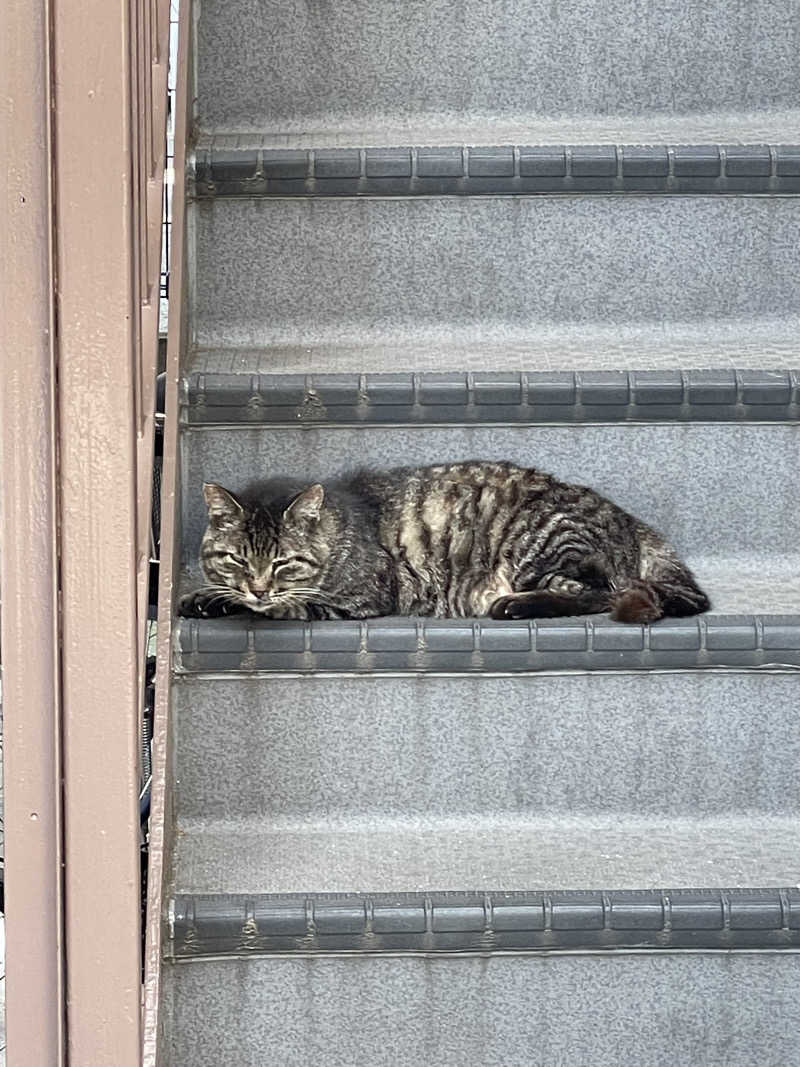 よっぴーさんのCOCOFURO たかの湯のサ活写真