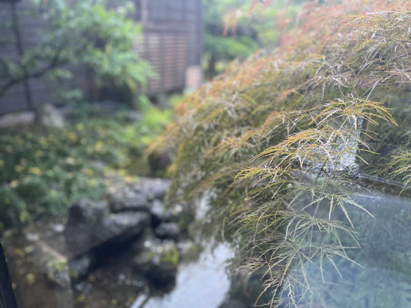 ろぴおさんの天然自家源泉 星音の湯のサ活写真