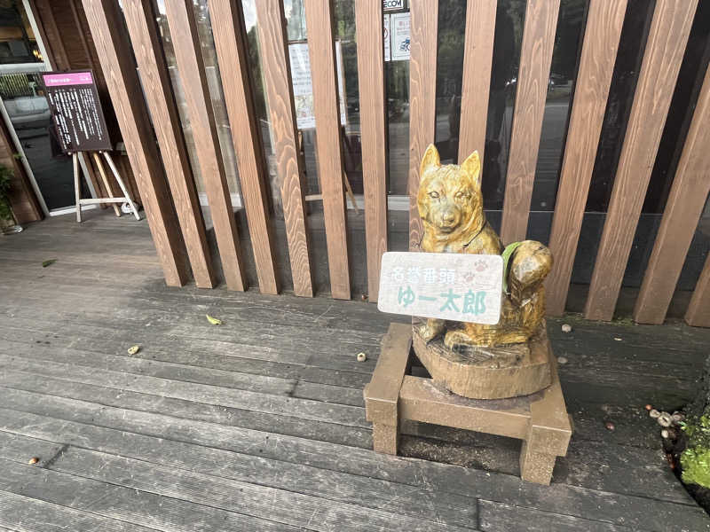 ろぴおさんのモダン湯治 おんりーゆーのサ活写真