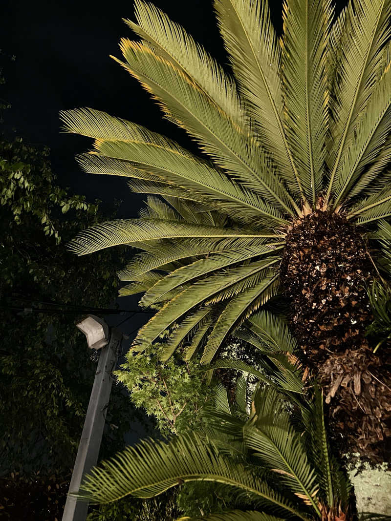 sumuさんのサウナゆげ蔵のサ活写真