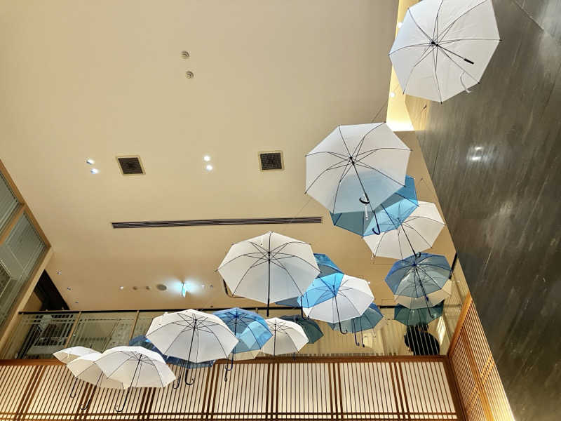 sumuさんの綱島源泉 湯けむりの庄のサ活写真