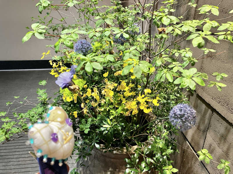 sumuさんの綱島源泉 湯けむりの庄のサ活写真