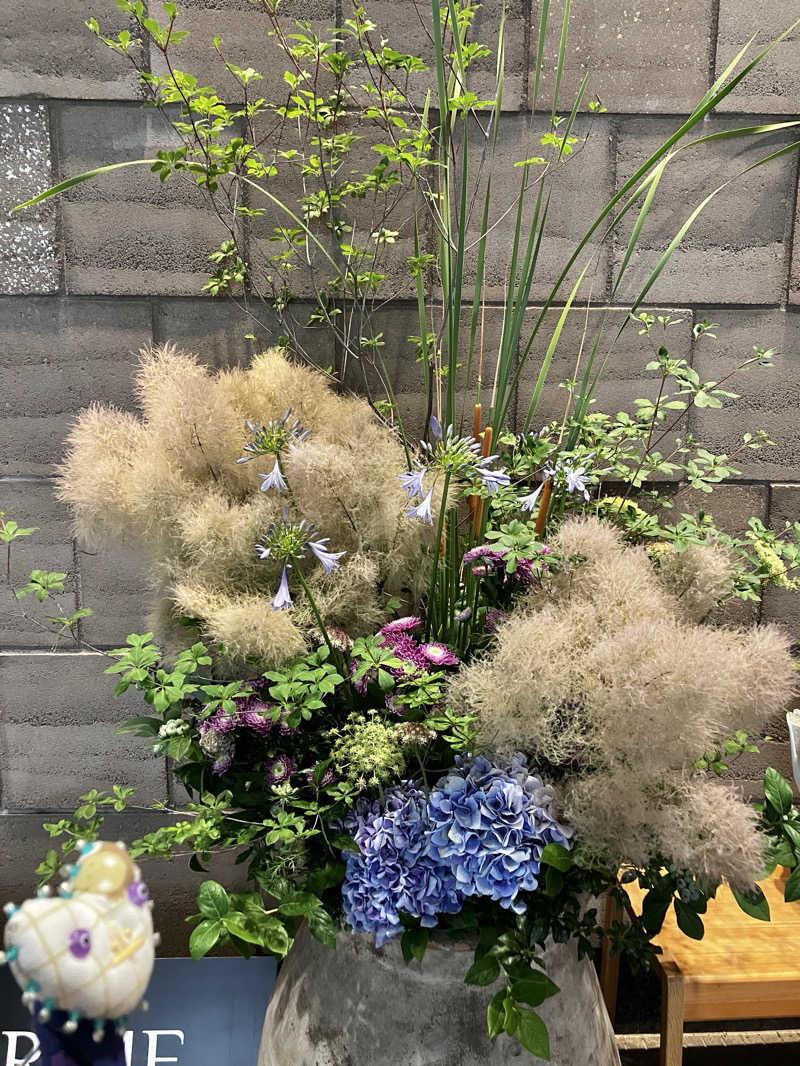 sumuさんの綱島源泉 湯けむりの庄のサ活写真