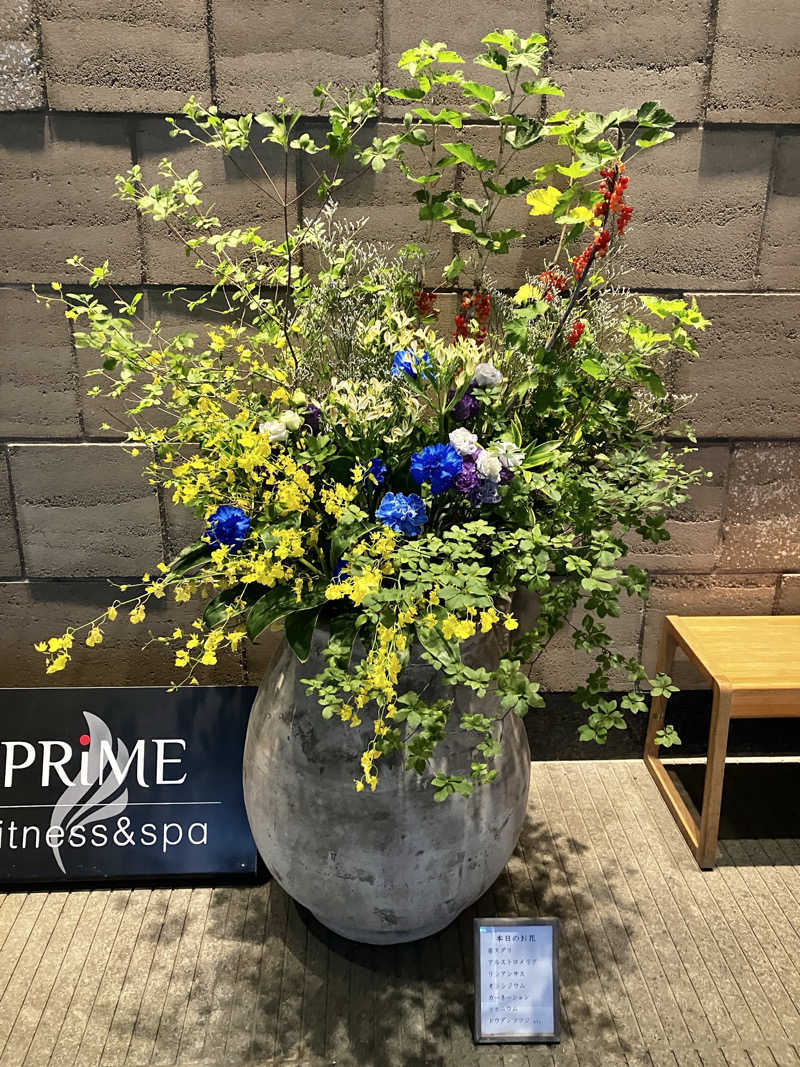 sumuさんの綱島源泉 湯けむりの庄のサ活写真