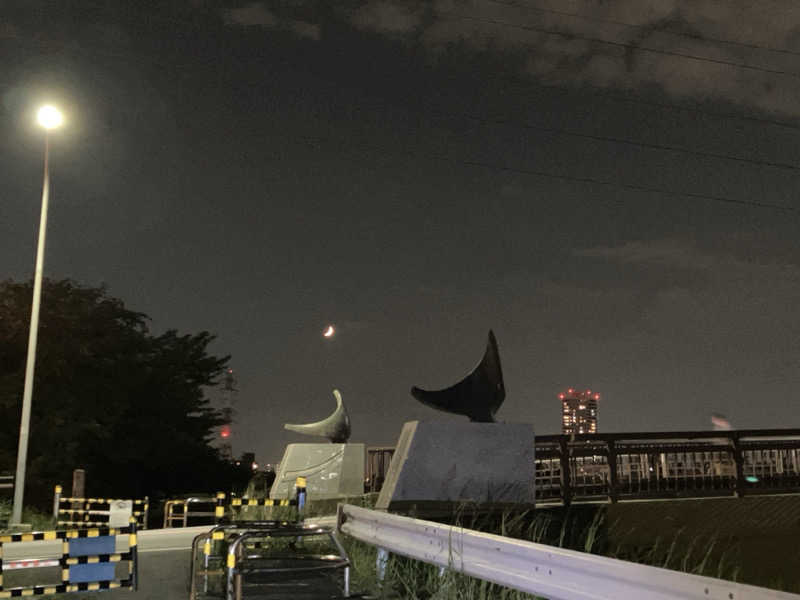 sumuさんの綱島源泉 湯けむりの庄のサ活写真