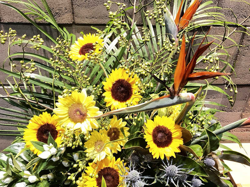 sumuさんの綱島源泉 湯けむりの庄のサ活写真