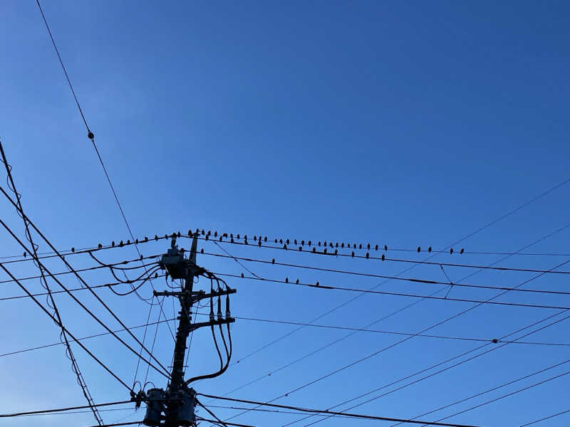 sumuさんの綱島源泉 湯けむりの庄のサ活写真