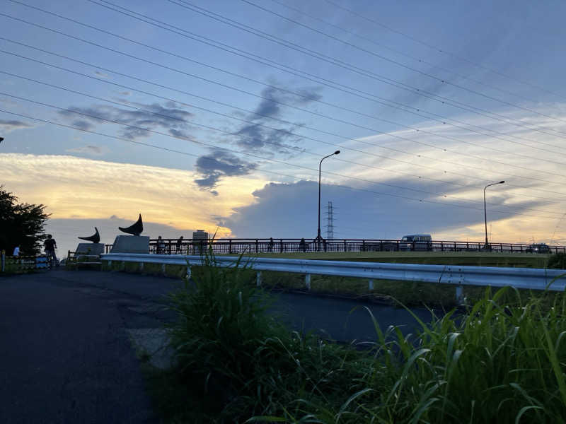 sumuさんの綱島源泉 湯けむりの庄のサ活写真