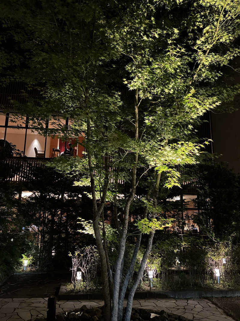 sumuさんの綱島源泉 湯けむりの庄のサ活写真