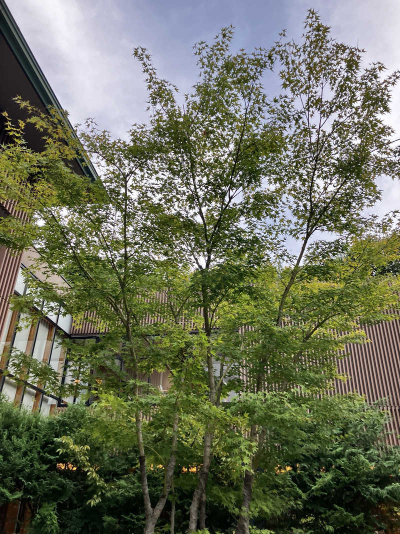 sumuさんの綱島源泉 湯けむりの庄のサ活写真