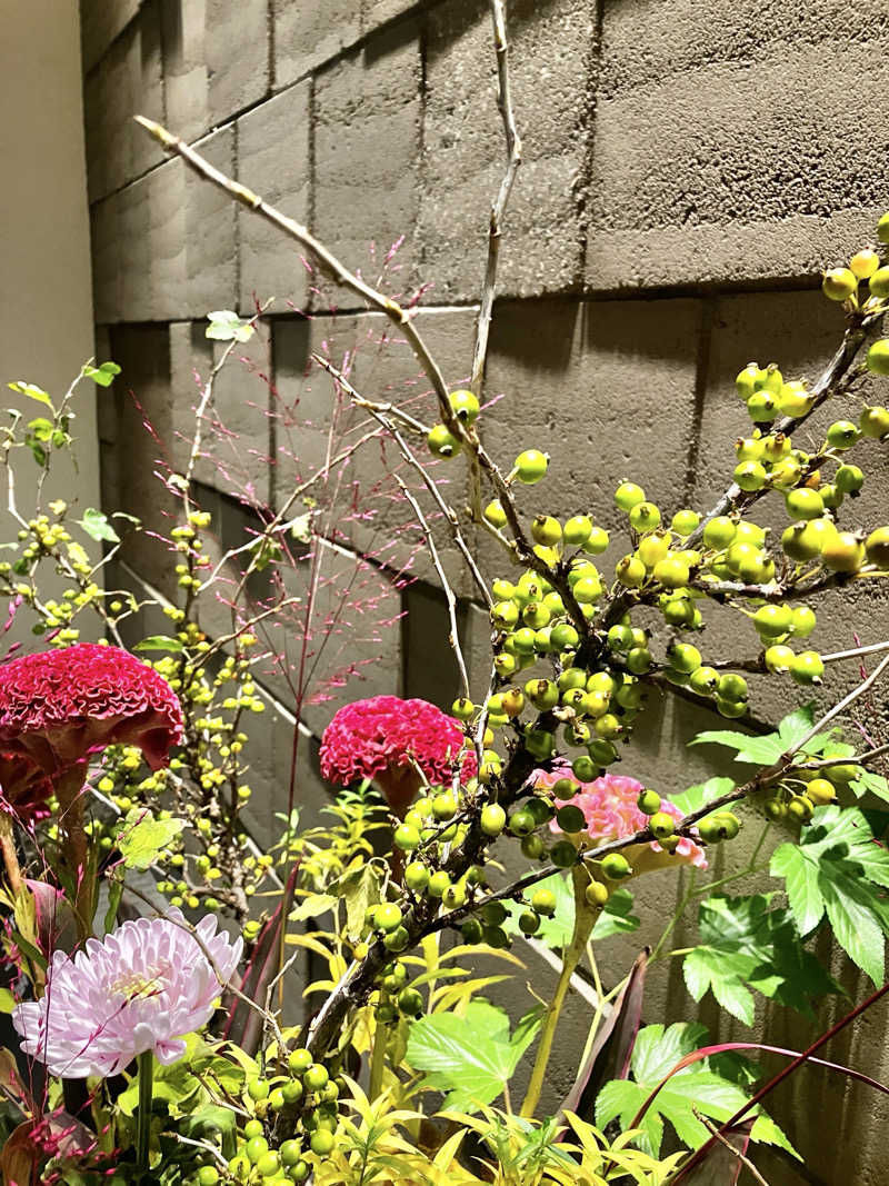 sumuさんの綱島源泉 湯けむりの庄のサ活写真