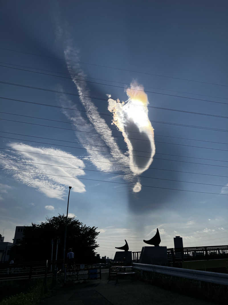 sumuさんの綱島源泉 湯けむりの庄のサ活写真