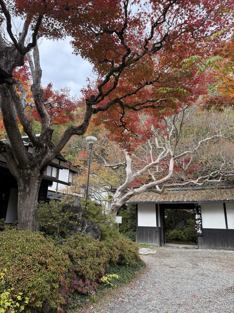 halさんの枇杷の湯のサ活写真