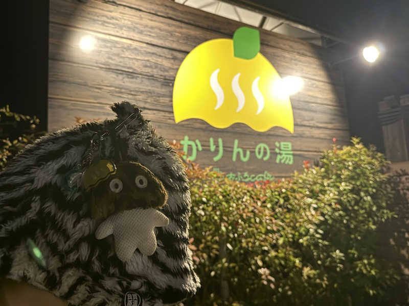 ビンちゃさんのおふろcafé かりんの湯のサ活写真