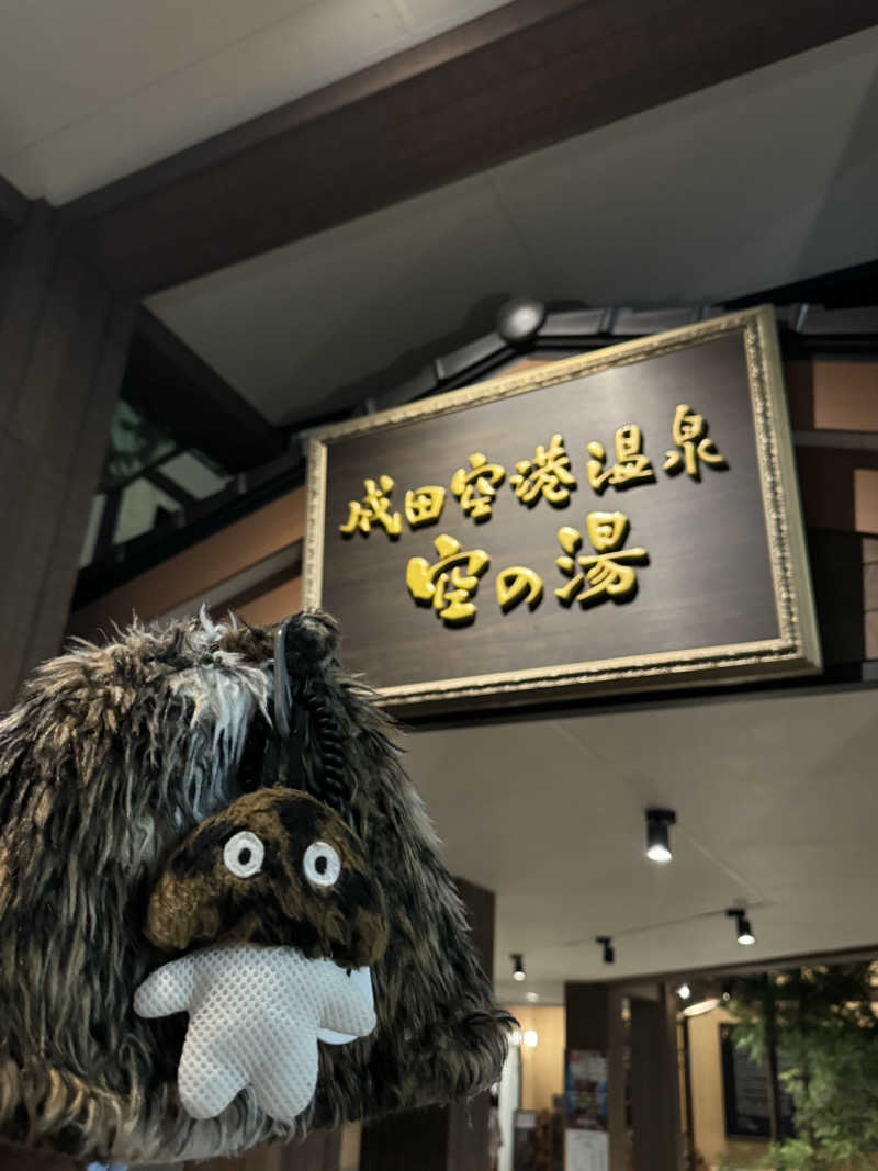 ビンちゃさんの成田空港温泉 空の湯のサ活写真