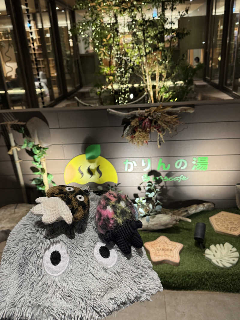 ビンちゃさんのおふろcafé かりんの湯のサ活写真