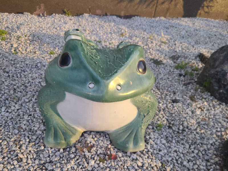 ultramarineさんの豊田挙母温泉 おいでんの湯のサ活写真