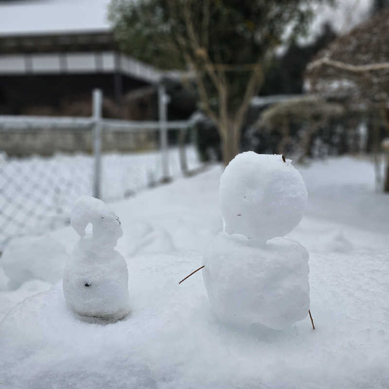 🌿かみんぐ🍃さんのアグリパークおおさわのサ活写真