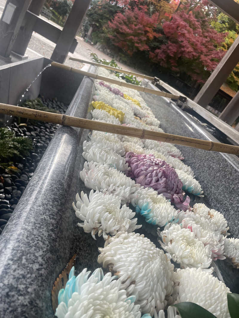 るいさんの湧ノ湯(旧 日の出湯)のサ活写真