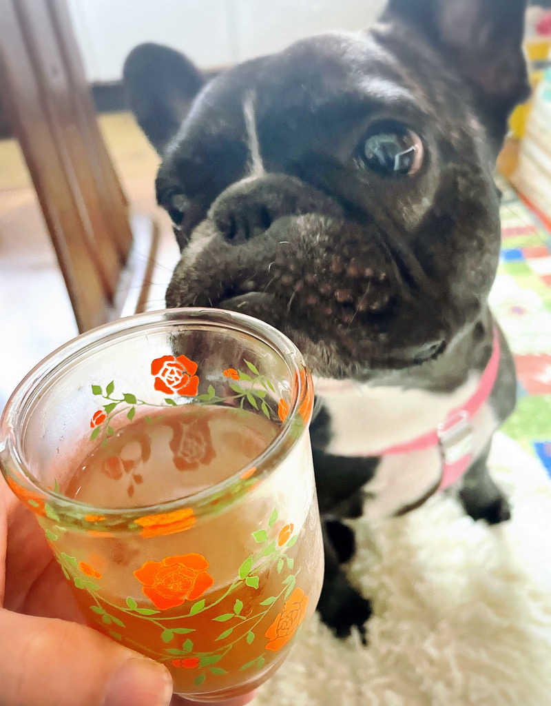 るいさんの金城温泉元湯のサ活写真