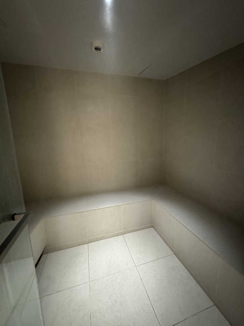 ねえさんさんのSHIROIYA HOTEL 白井屋ホテルのサ活写真