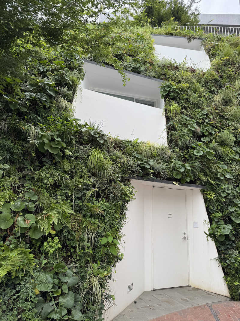 ねえさんさんのSHIROIYA HOTEL 白井屋ホテルのサ活写真