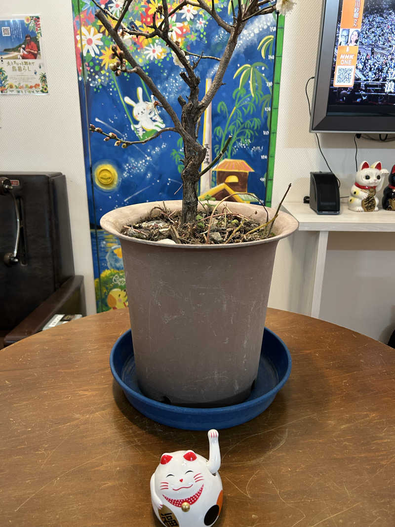 らでさんの末広湯のサ活写真