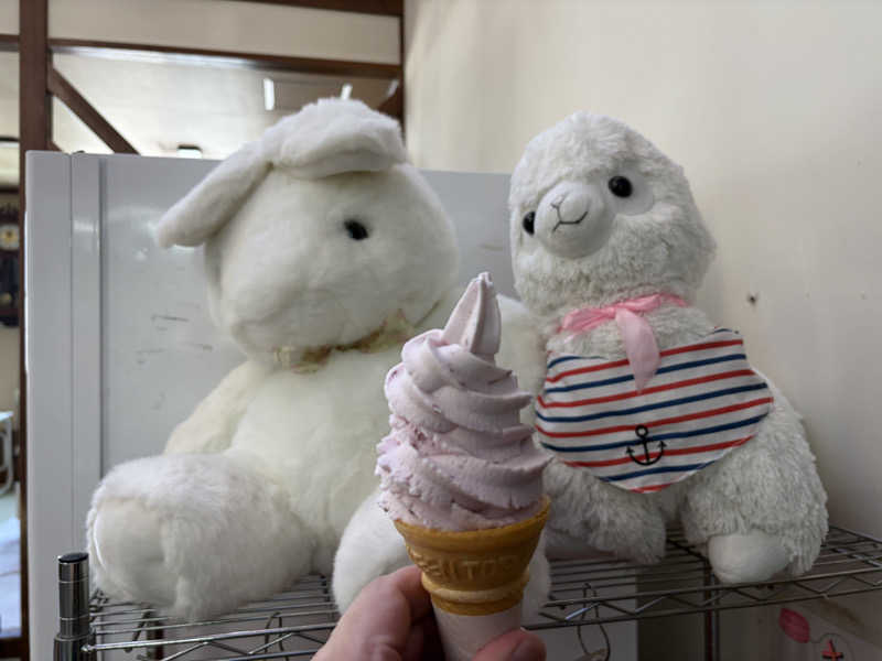 波乗りジョニーさんの沼館温泉会館のサ活写真