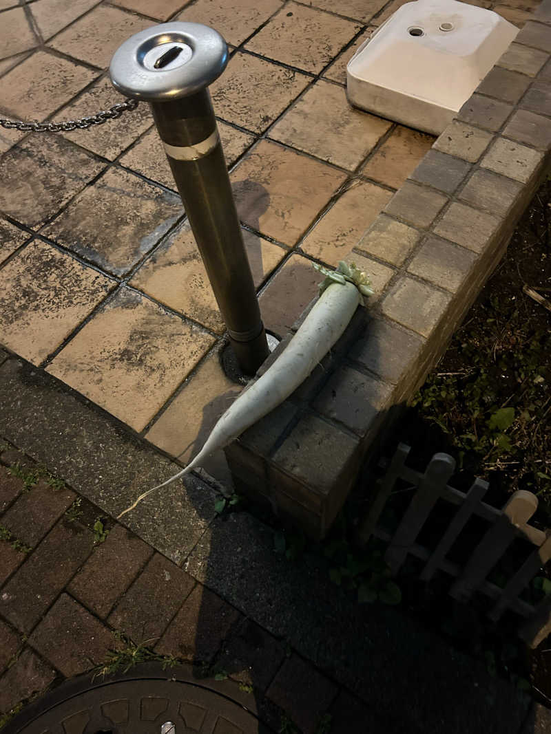 孤高のサウナ女子さんの大森湯のサ活写真