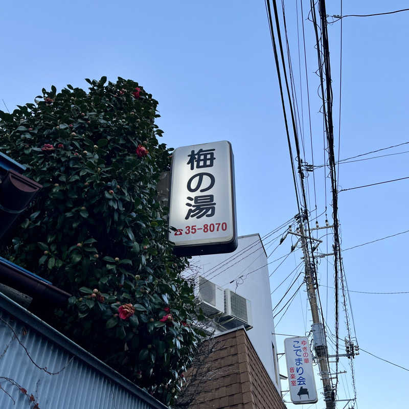 レモンハルマッキさんの【2025年2月27日閉業】梅の湯のサ活写真