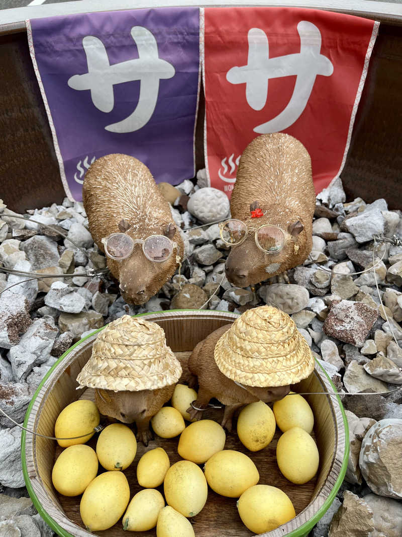 レモンハルマッキさんの富士山天然水SPA サウナ鷹の湯のサ活写真