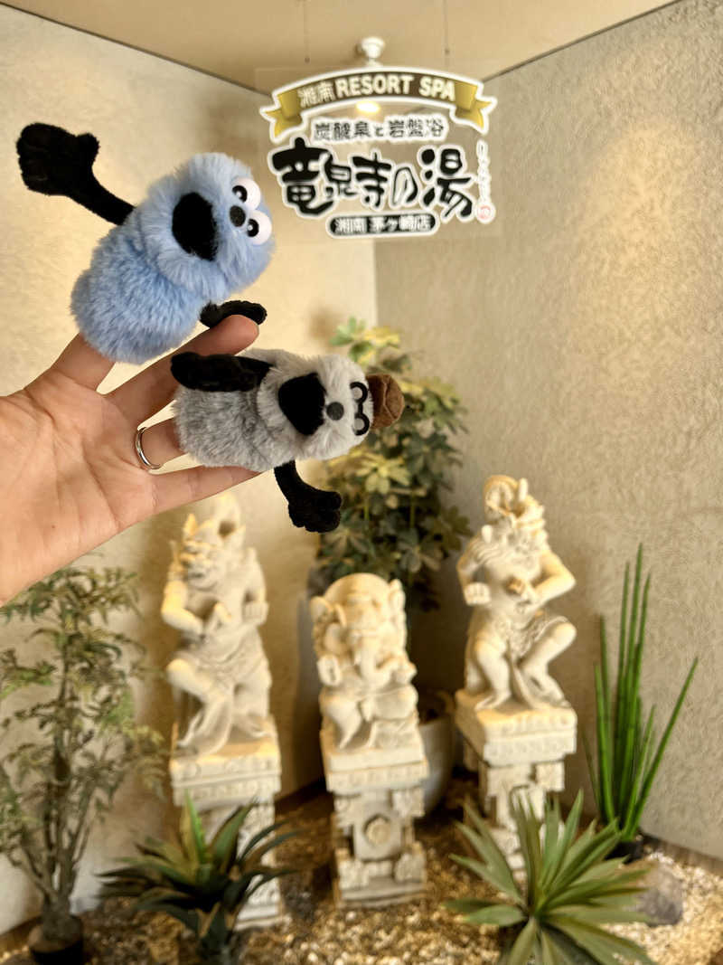 レモンハルマッキさんの湘南RESORT SPA 竜泉寺の湯 湘南茅ヶ崎店のサ活写真