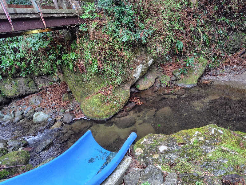 ぬくぬくさんの伊豆グランピングリゾートIshiki385のサ活写真