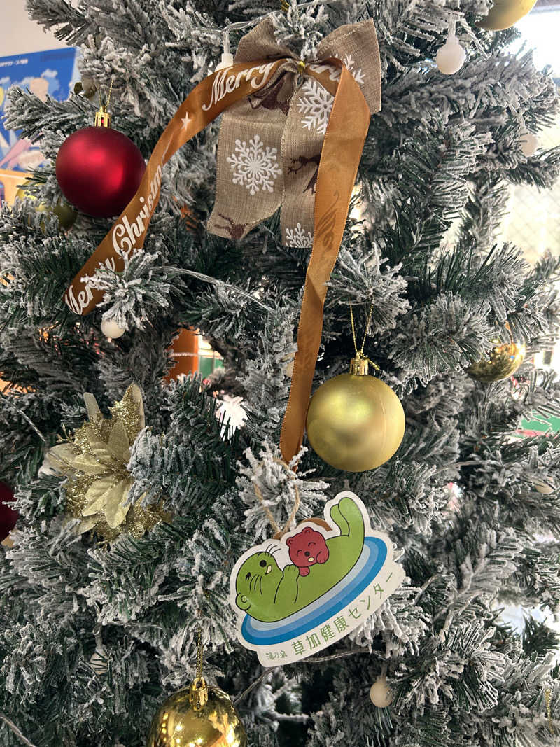 いけなりさんの湯乃泉 草加健康センターのサ活写真