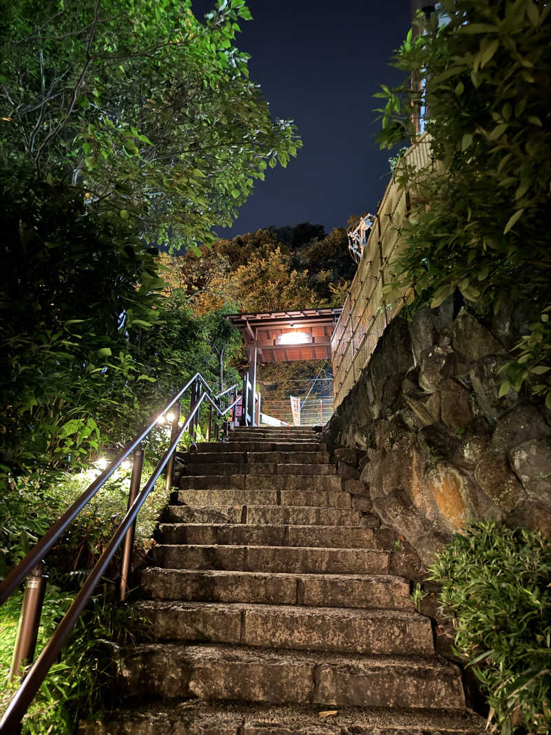 めっちさんのいずみの湯 (ニューウェルシティ湯河原)のサ活写真