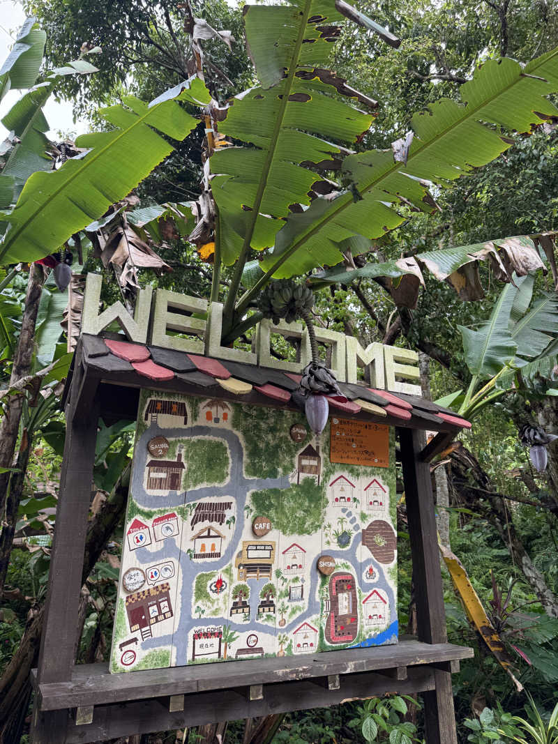 めっちさんの亜熱帯サウナのサ活写真