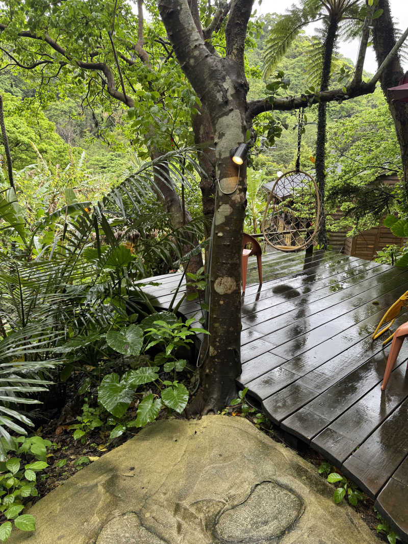 めっちさんの亜熱帯サウナのサ活写真