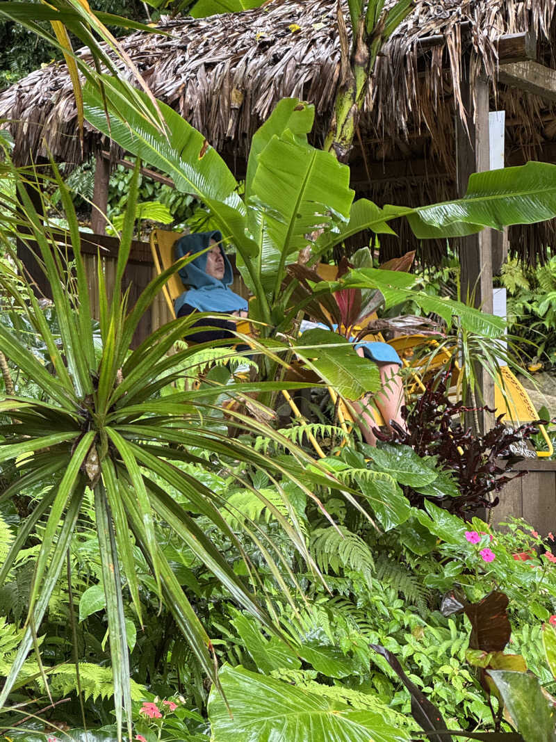 めっちさんの亜熱帯サウナのサ活写真