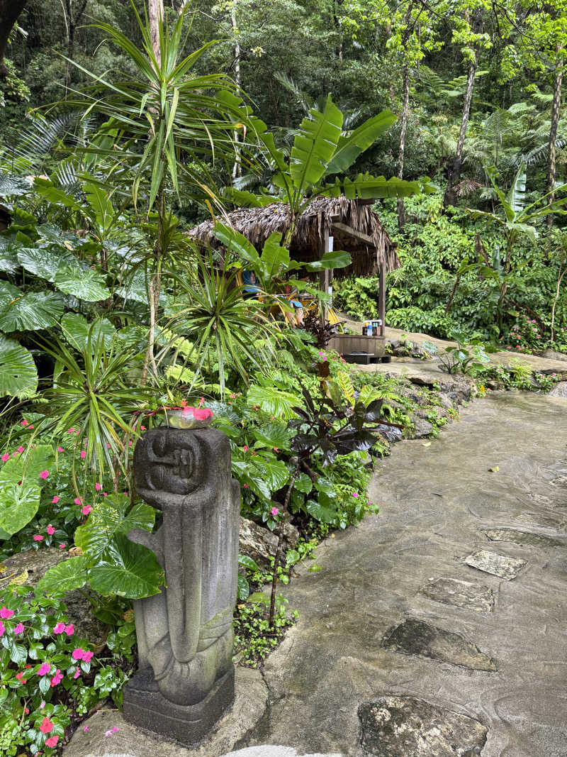 めっちさんの亜熱帯サウナのサ活写真