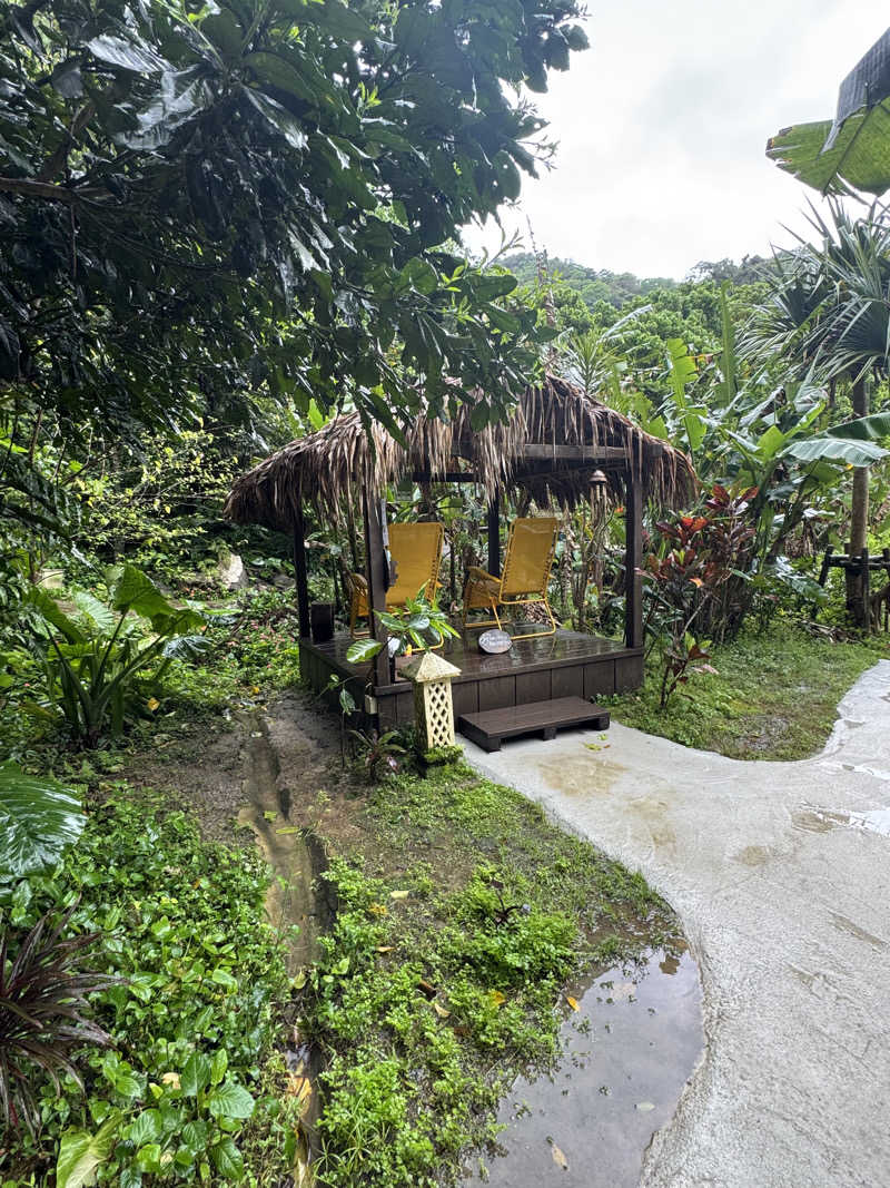 めっちさんの亜熱帯サウナのサ活写真