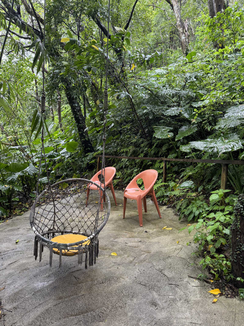 めっちさんの亜熱帯サウナのサ活写真