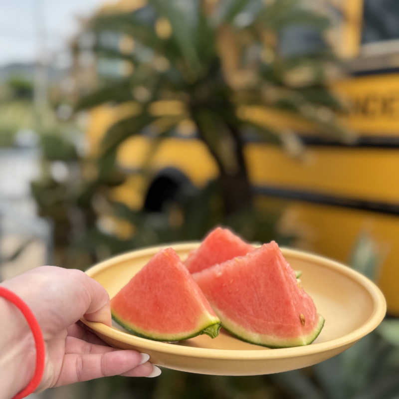 めっちさんのHotel Ocean BUS Shirahamaのサ活写真