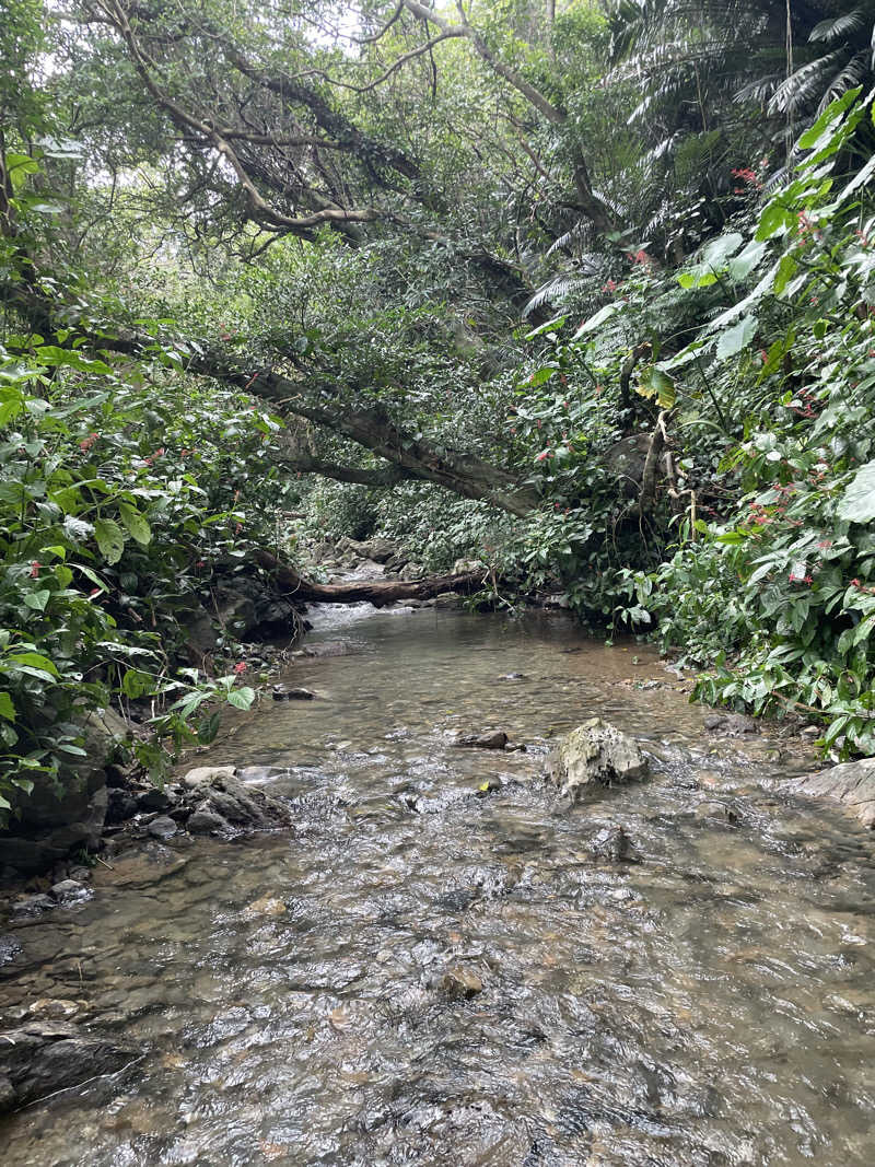 北川謙二さんの亜熱帯サウナのサ活写真
