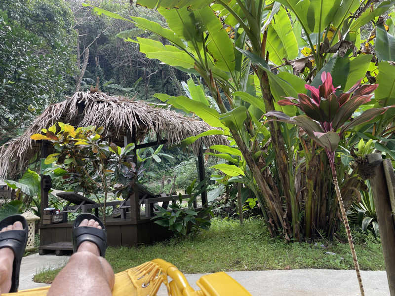 北川謙二さんの亜熱帯サウナのサ活写真