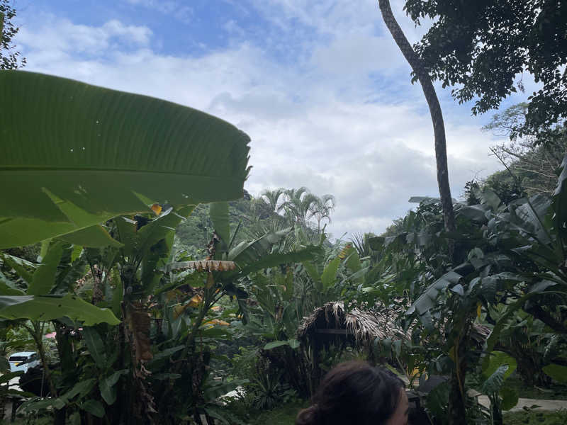 北川謙二さんの亜熱帯サウナのサ活写真